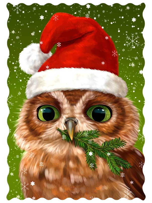 christmas owl images